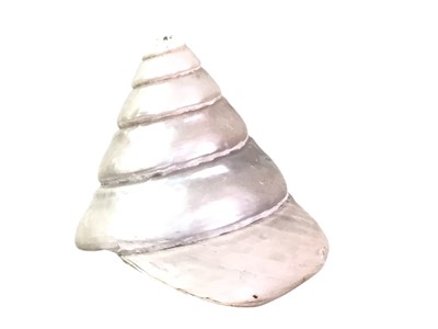 Lot 1800 - NOVELTY ARTICULATED FISH