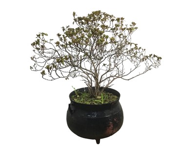 Lot 380 - PAIR OF OUTDOOR GARDEN PLANTERS