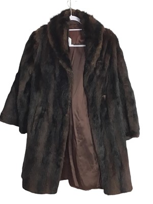 Lot 381 - TWO MUSQUASH FUR COATS