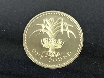 Lot 436 - COLLECTION OF ROYAL MINT PRESENTATION PROOF COIN SETS