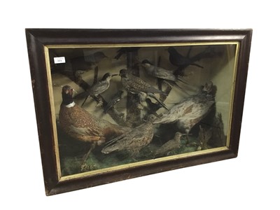 Lot 1834 - VICTORIAN GROUP OF TAXIDERMY BIRDS IN CABINET