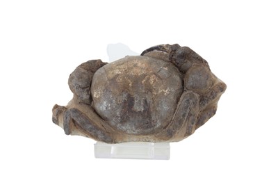 Lot 1837 - FOSSILISED CRAB