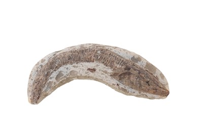 Lot 1843 - FOSSILISED FISH SPECIMEN
