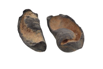 Lot 1844 - THREE FOSSILISED SPECIMENS