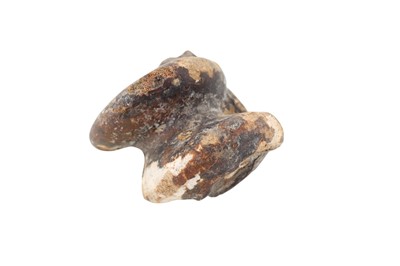 Lot 1846 - FOSSILISED BISON ANKLE BONE