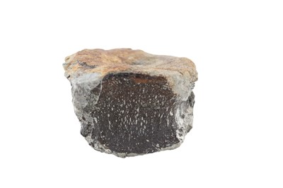 Lot 1854 - FOSSILISED ICHTHYOSAUR VERTEBRUM