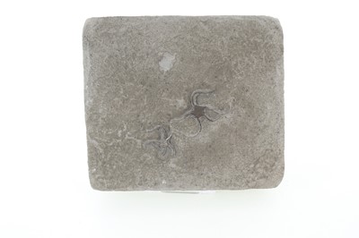 Lot 165 - FOSSILISED BRITTLE STARS