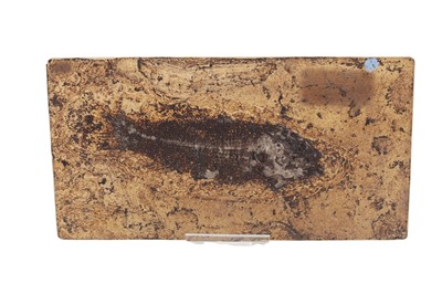 Lot 1864 - COLLECTION OF FOSSILISED PLANT AND ANIMAL SPECIMENS