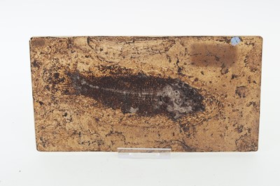 Lot 1864 - COLLECTION OF FOSSILISED PLANT AND ANIMAL SPECIMENS