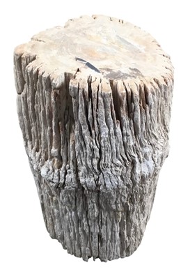 Lot 1868 - LARGE FOSSILISED TREE TRUNK SPECIMEN