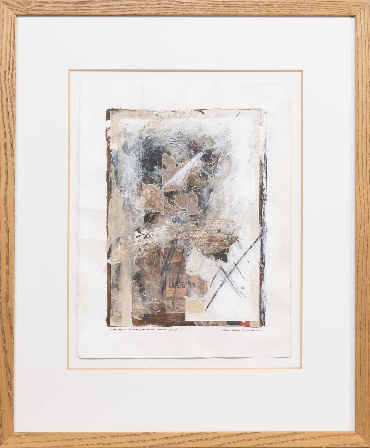 Lot 160 - * COLIN WILSON