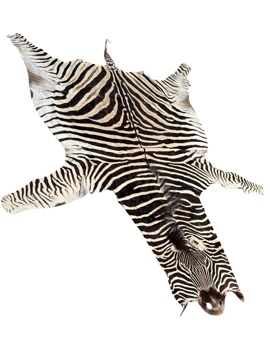 Lot 580 - ZEBRA HIDE RUG