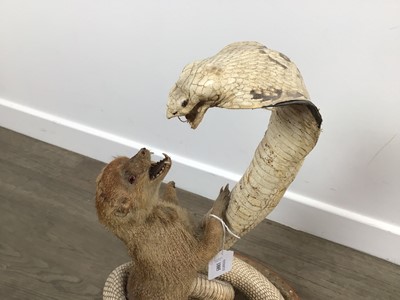 Lot 1885 - TAXIDERMY MONGOOSE AND COBRA GROUP