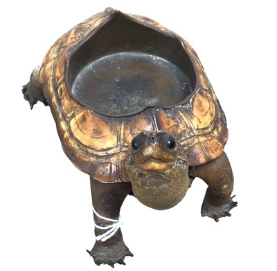 Lot 1891 - TAXIDERMY TORTOISE CANDLE HOLDER