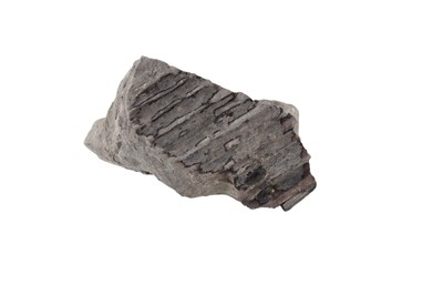 Lot 1895 - WOOLLY MAMMOTH MOLAR