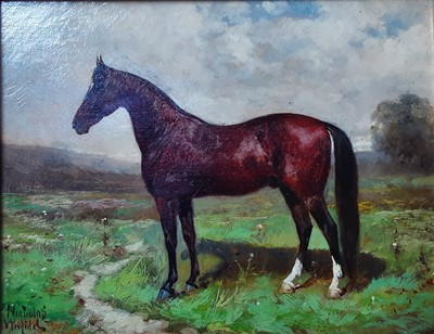Lot 737 - NICHOLAS WINFIELD