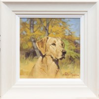 Lot 250 - * PETER MUNRO, LABRADOR oil on board, signed...