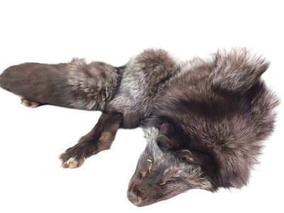 Lot 790 - GROUP OF FUR STOLES