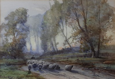 Lot 791 - TOM CAMPBELL