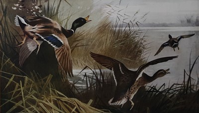 Lot 449 - ARCHIBALD THORBURN
