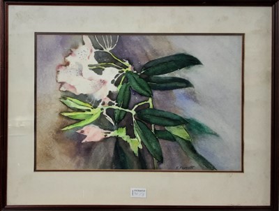 Lot 141 - GROUP OF THREE PICTURES