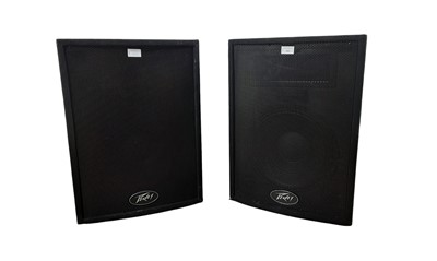 Lot 209 - PAIR OF PEVEY FLOOR STANDING LOUD SPEAKERS