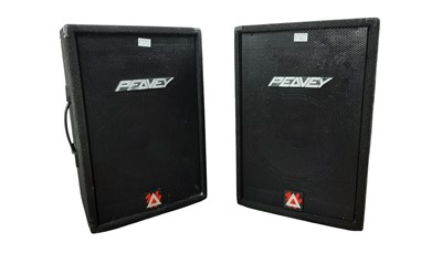 Lot 210 - PAIR OF PEVEY FLOOR STANDING LOUD SPEAKERS