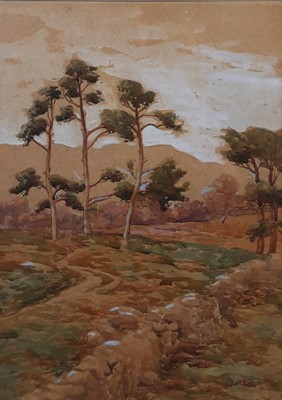 Lot 352 - FRANK P. MARTIN