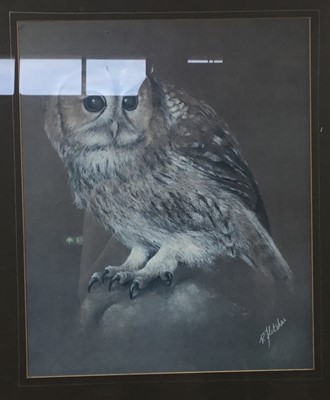 Lot 19 - THREE FRAMED SKETCHES