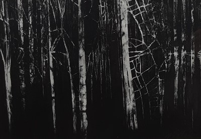 Lot 111 - * WENDY SUTHERLAND