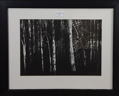 Lot 111 - * WENDY SUTHERLAND
