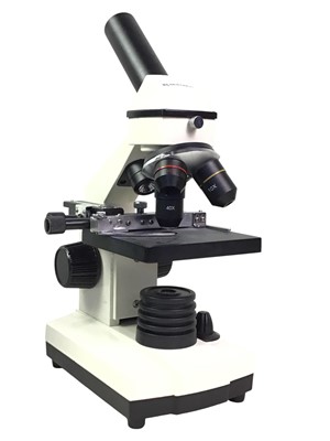 Lot 244 - BRESSER BIOLUX NV MICROSCOPE