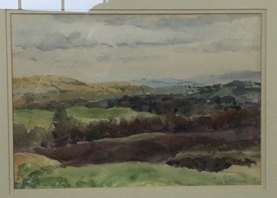 Lot 469 - * MARY NICOL NEILL ARMOUR LLD RSA RSW RGI (SCOTTISH 1902 - 2000)