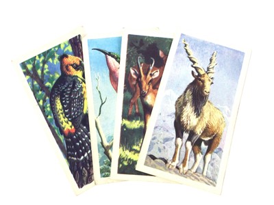 Lot 350 - GROUP OF CIGARETTE CARDS