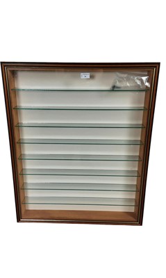 Lot 56 - PAIR OF WALL MOUNTED DISPLAY CABINETS