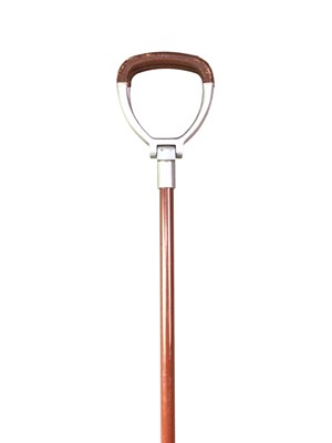 Lot 389 - TWO WALKING STICKS