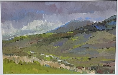 Lot 535 - * NICOLA STRATTON TYLER