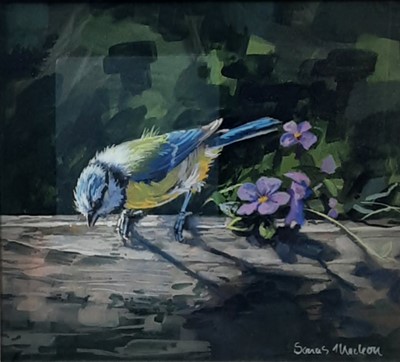 Lot 236 - * SONAS MACLEAN