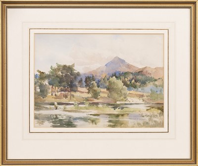 Lot 722 - FRANCES EMILY NESBITT (BRITISH 1864 - 1934)