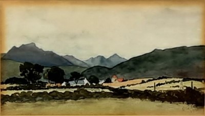 Lot 317 - R.W. ELDOR