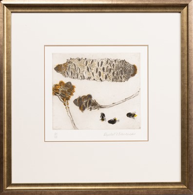 Lot 111 - * ELIZABETH BLACKADDER DBE RA RSA RSW RGI DLitt (SCOTTISH 1931 - 2021)