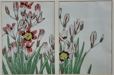 Lot 551 - TWO JAPANESE PRINTS