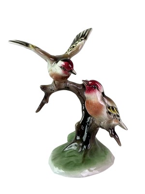Lot 158 - ORNITHOLOGICAL INTEREST