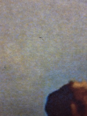 Lot 574 - THREE FOLD SCREEN