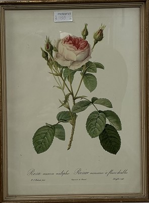 Lot 750 - GROUP OF PRINTS