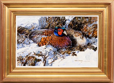 Lot 1 - * ALAN B HAYMAN (SCOTTISH b. 1947)