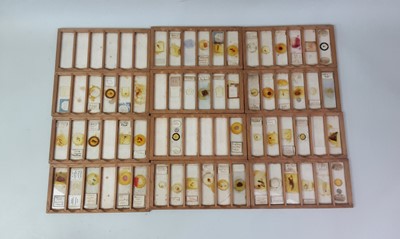 Lot 170 - EDWARDIAN MICROSCOPE SLIDES IN TRAVEL BOX