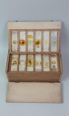 Lot 170 - EDWARDIAN MICROSCOPE SLIDES IN TRAVEL BOX