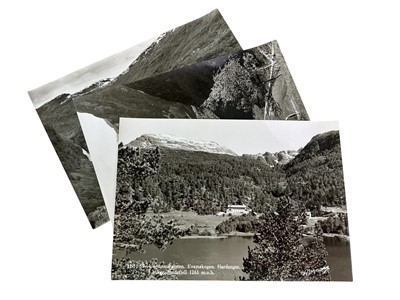 Lot 530 - COLLECTION OF STAMPS