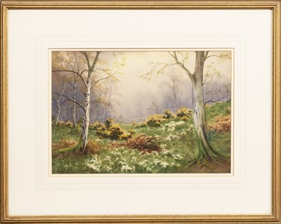 Lot 881 - * DONALD A PATON (SCOTTISH 1879 - 1949)